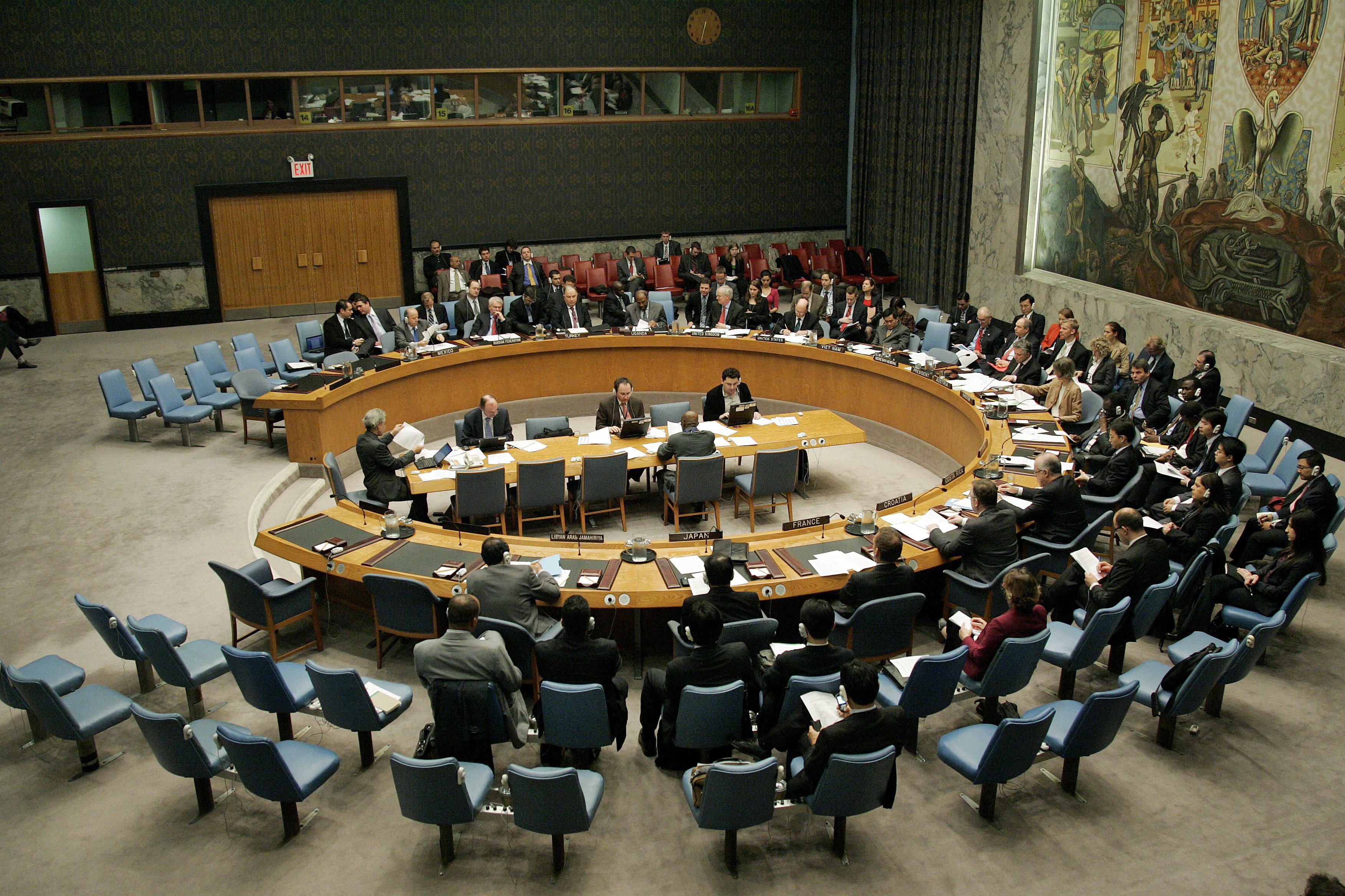 Security Council 6217th meeting
